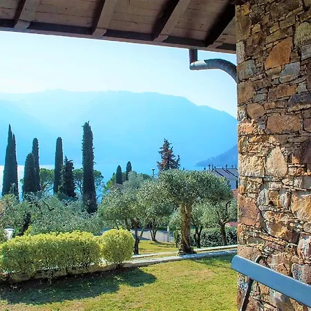 The Olive Grove فيلة تريميتْسّو