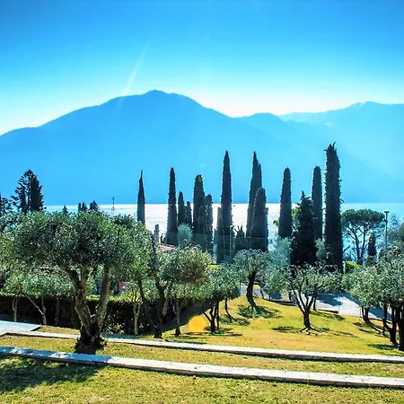 فيلة The Olive Grove تريميتْسّو
