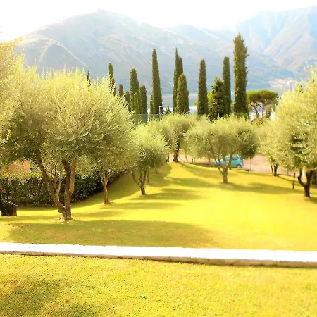 The Olive Grove Villa